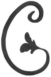 Wrought iron - scroll type C with leaf